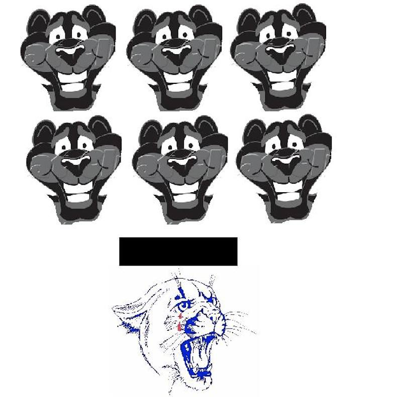Illustration for article titled The Best And Dumbest Meme Is Unfolding On The Panthers' Facebook Page
